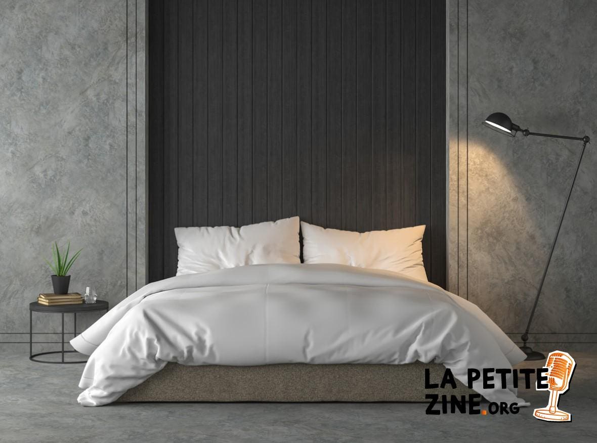 Chambre Moderne De Style Loft 