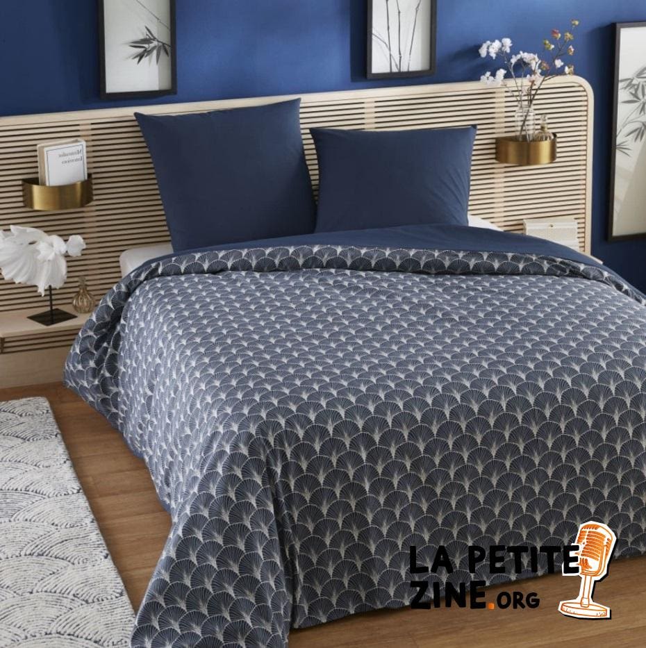 Chambre Bleue De Style Zen