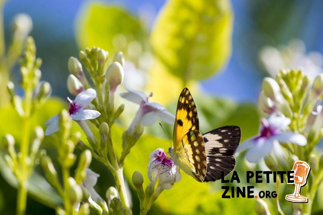 9h19: Décryptage de la Signification Cachée derrière cette Heure Spécifique pour les Entrepreneurs