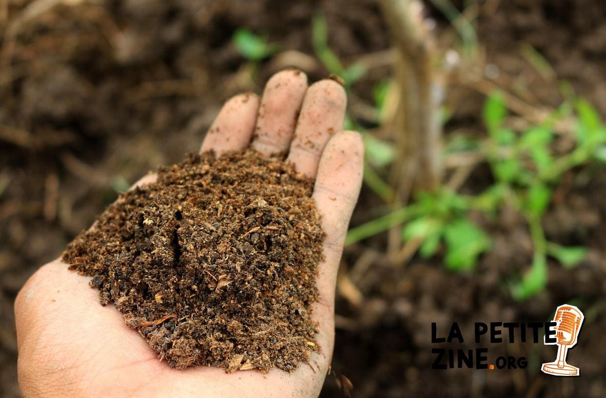 Comment alléger une terre argileuse ?