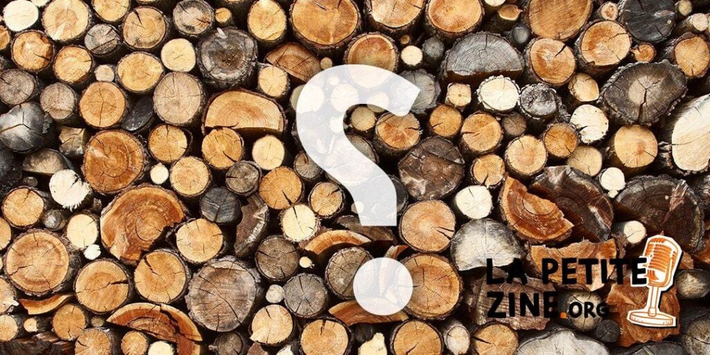 Comment choisir le bois de chauffage idéal chez Leroy Merlin ?