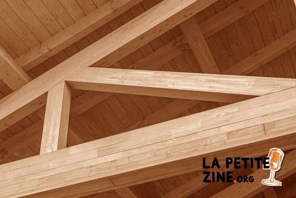 Comment choisir le bon type de toit translucide pour votre maison ?