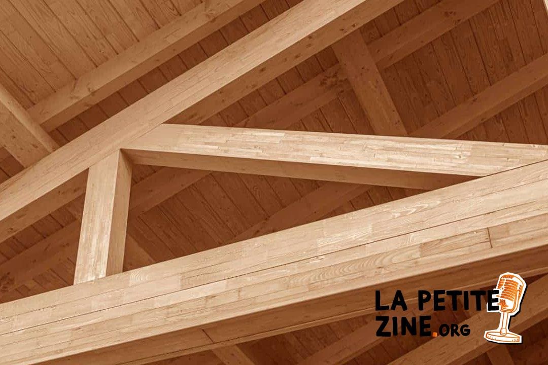 Comment choisir le bon type de toit translucide pour votre maison ?