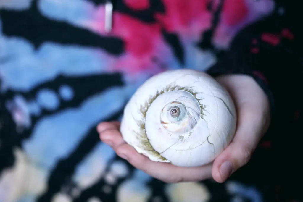 Comment éviter les prélèvements abusifs de SFAM ?