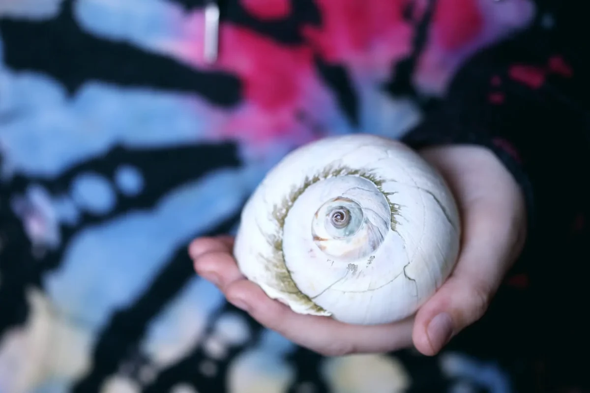 Comment éviter les prélèvements abusifs de SFAM ?