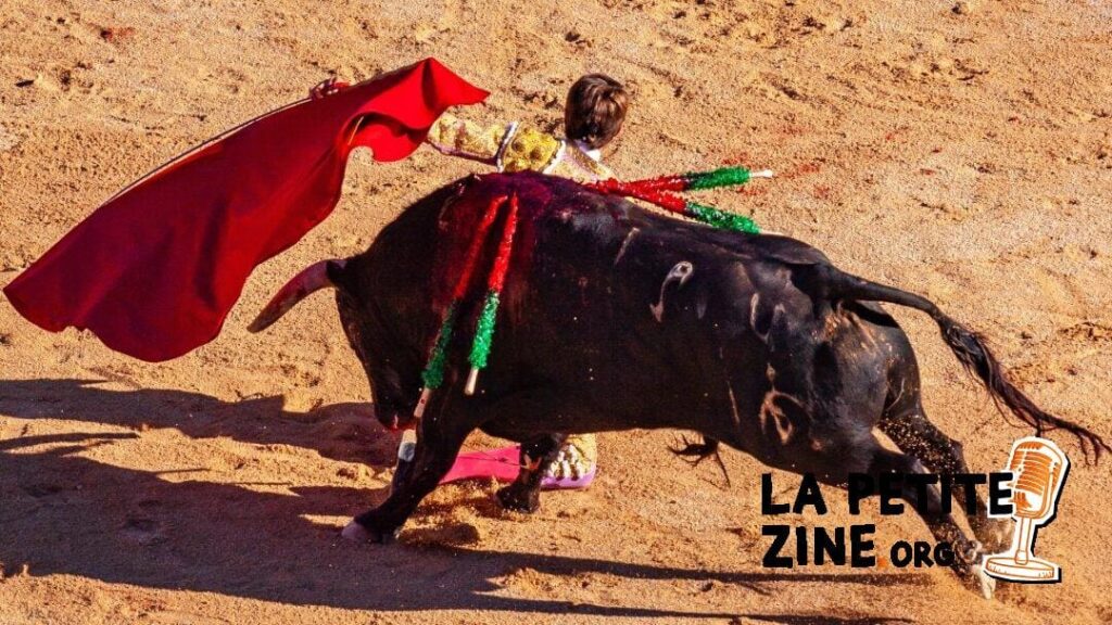 Corridas financières : Stratégies pour naviguer les marchés volatils comme un matador expérimenté