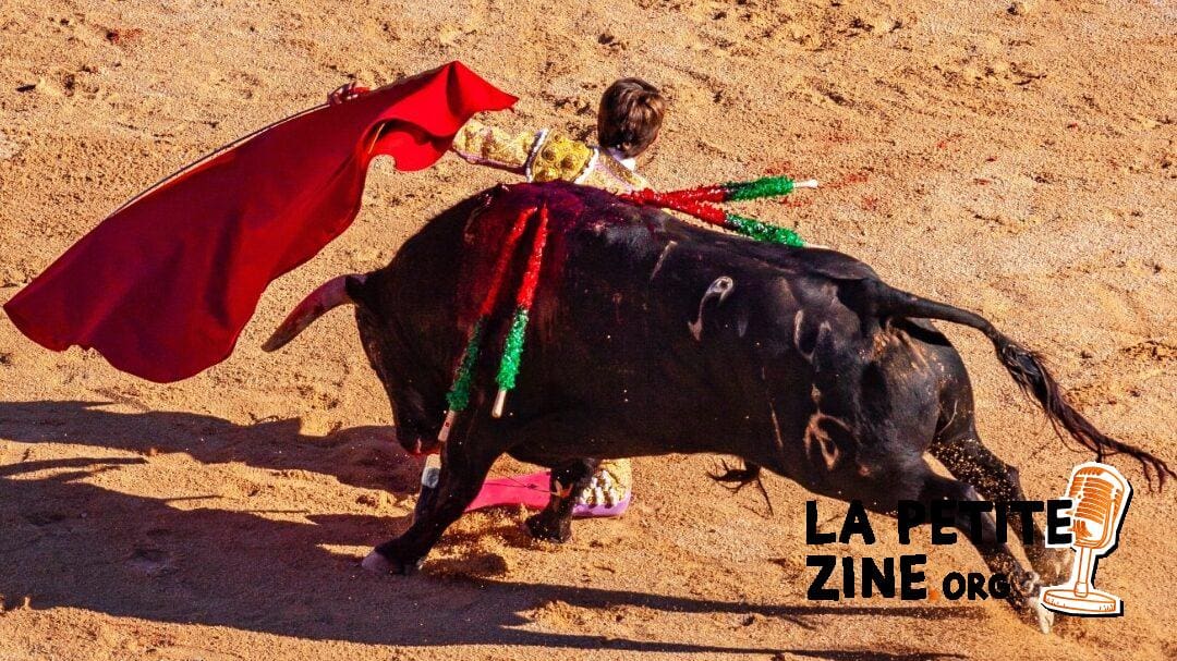 Corridas financières : Stratégies pour naviguer les marchés volatils comme un matador expérimenté