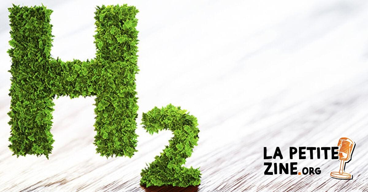 La pile à combustible et sa fonction