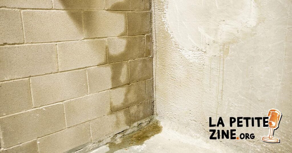 Raison de l’action : Mur de sous-sol humide