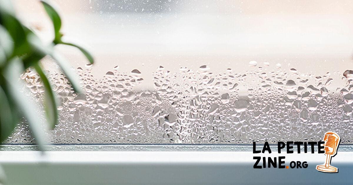 Condensation sur la fenêtre – que puis-je faire ?