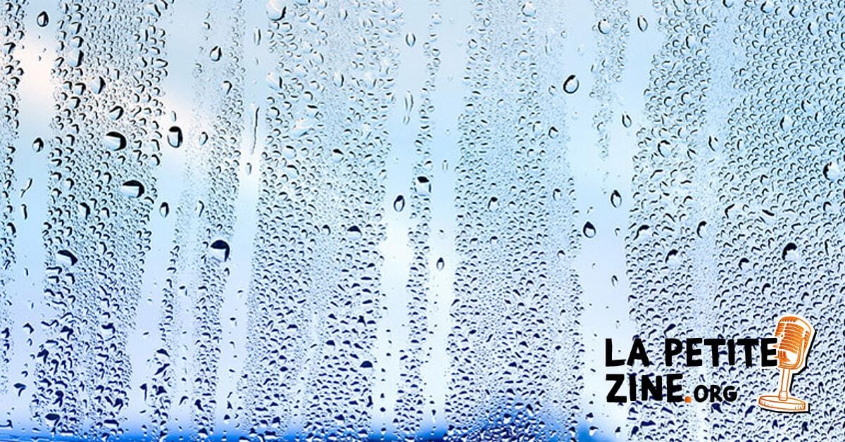 Réduire l&rsquo;humidité dans le temps et éviter les dommages