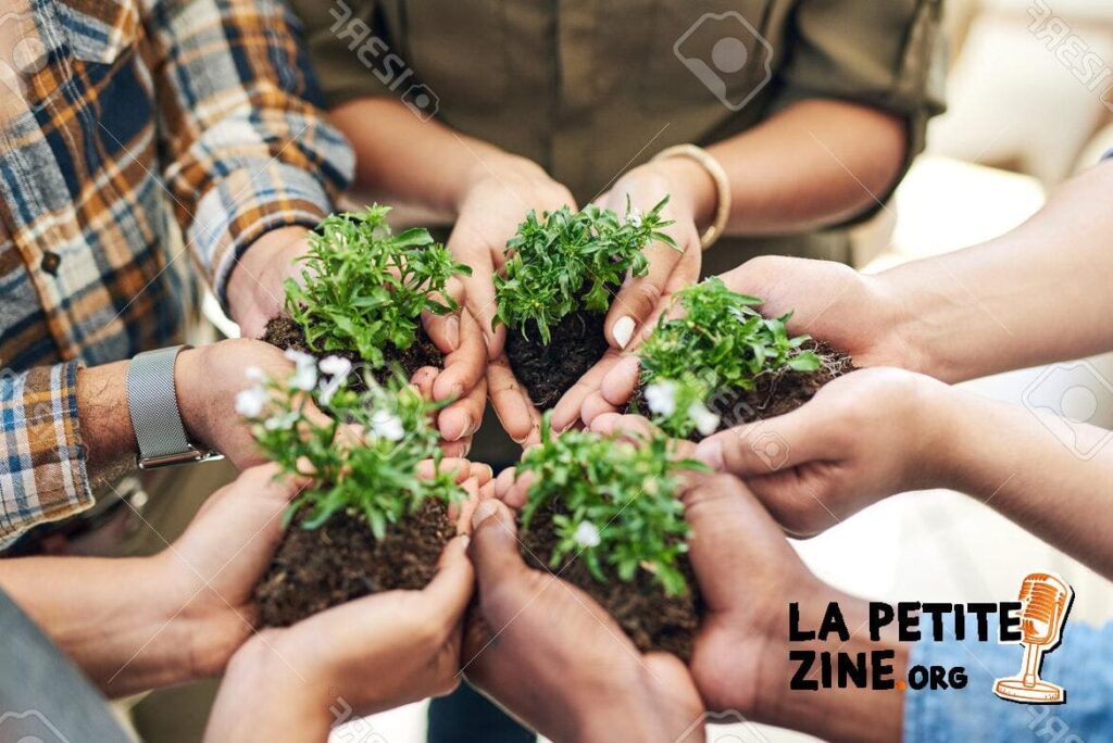 Cultiver le Succès: Les Leçons de Business Inspirées par les Cactus du Mexique