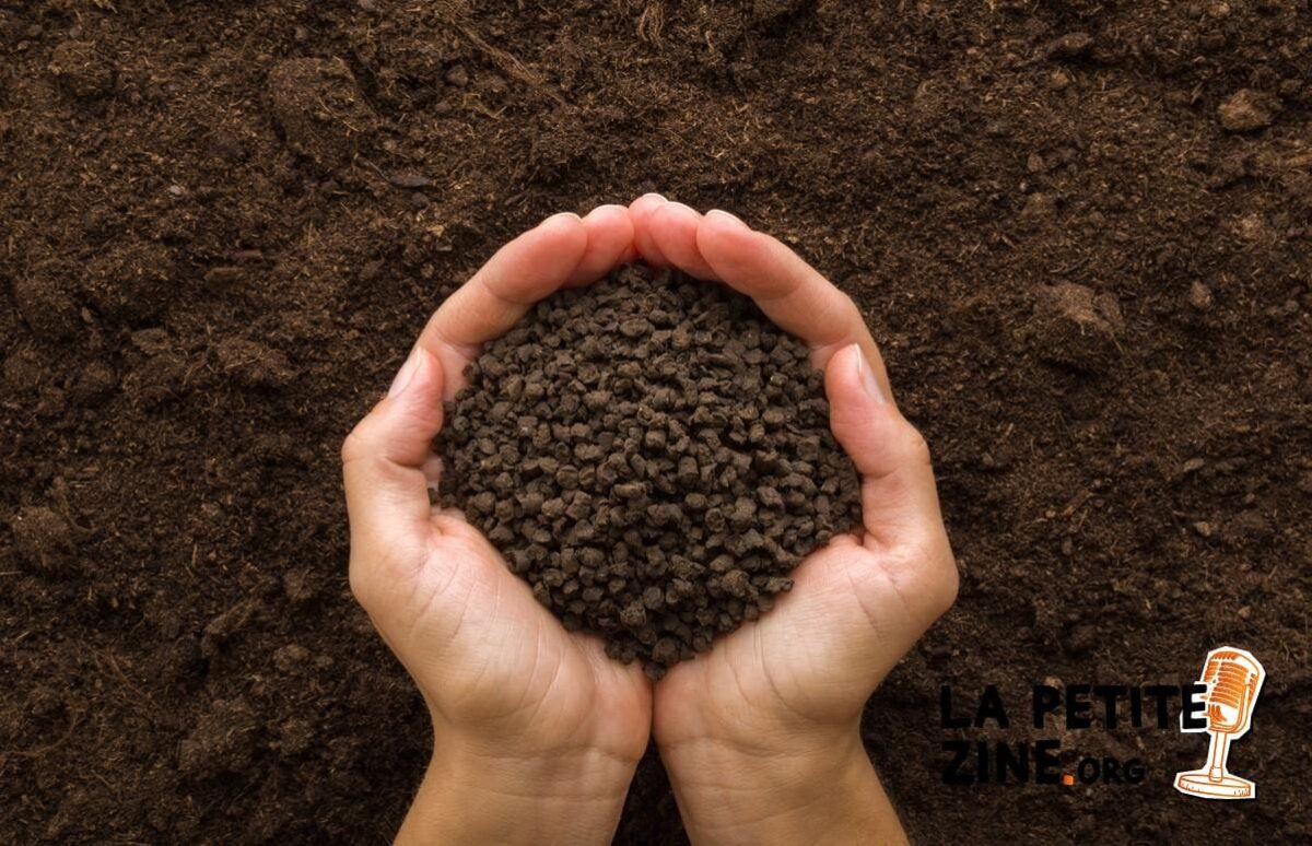 Comment enrichir une terre pauvre ?