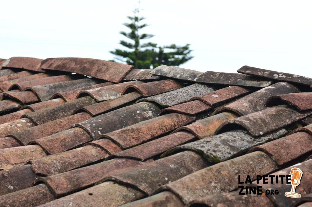 Faut-il opter pour un toit ouvrant pour sa maison ?