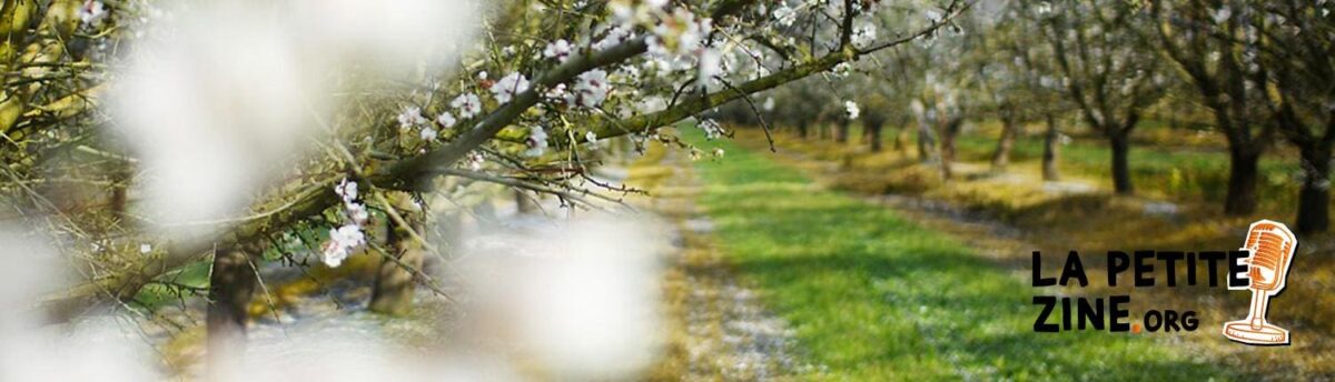 Les allergies selon les régions