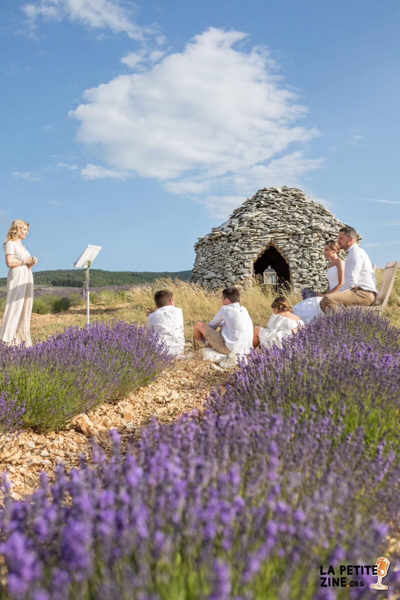 Les champs de lavande : un modèle d&rsquo;affaires florissant et parfumé