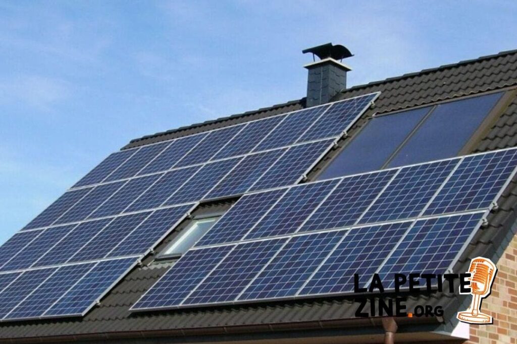 L&rsquo;essor des entreprises BBio: Comment l&rsquo;économie verte transforme le paysage entrepreneurial