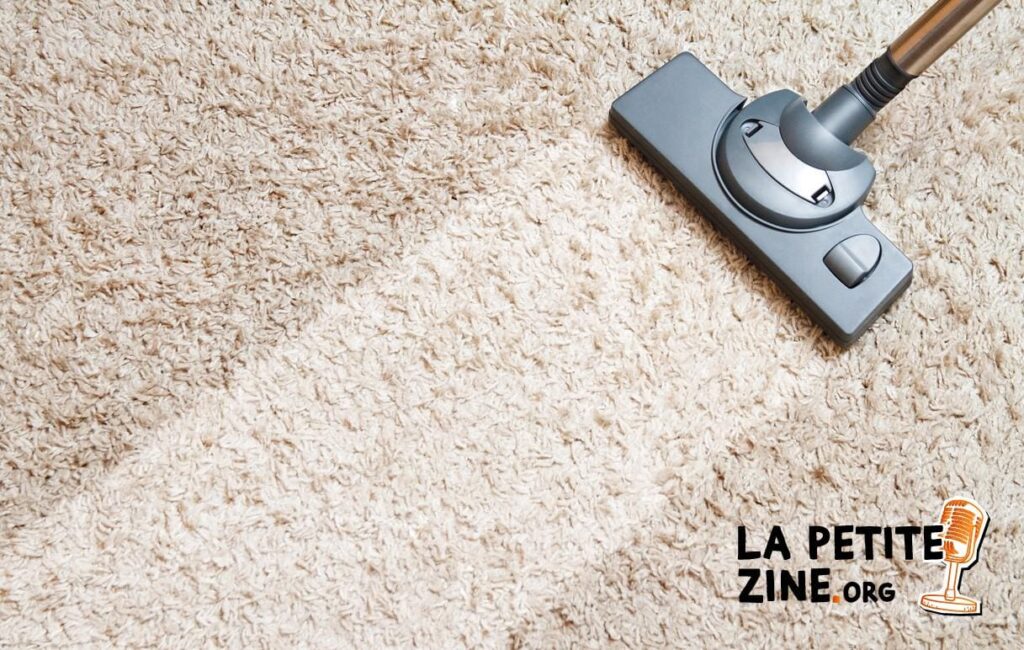 7 solutions pour éliminer les mites d’un tapis