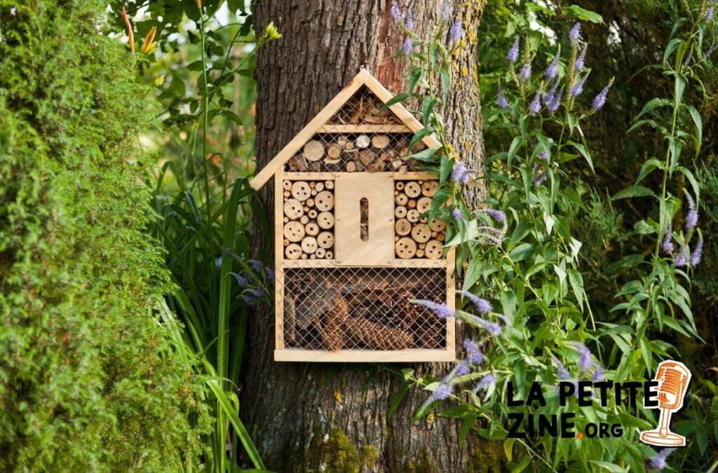 La maison à insectes