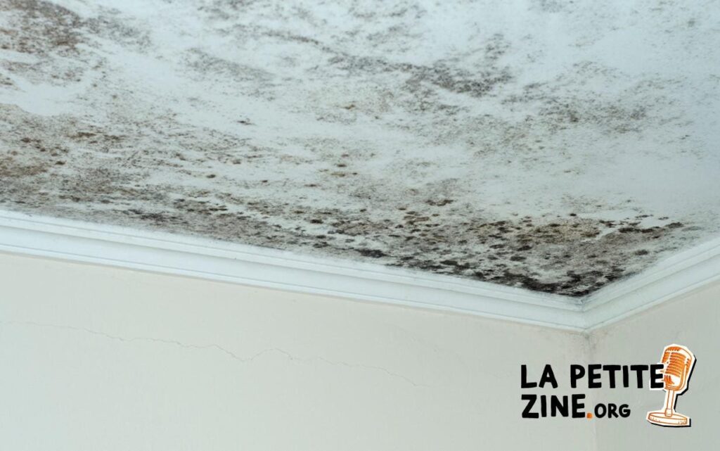 Comment enlever de la moisissure au plafond ?