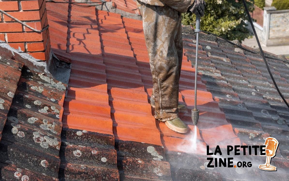 Nettoyer sa toiture à l’eau de javel : bonne ou mauvaise idée ?