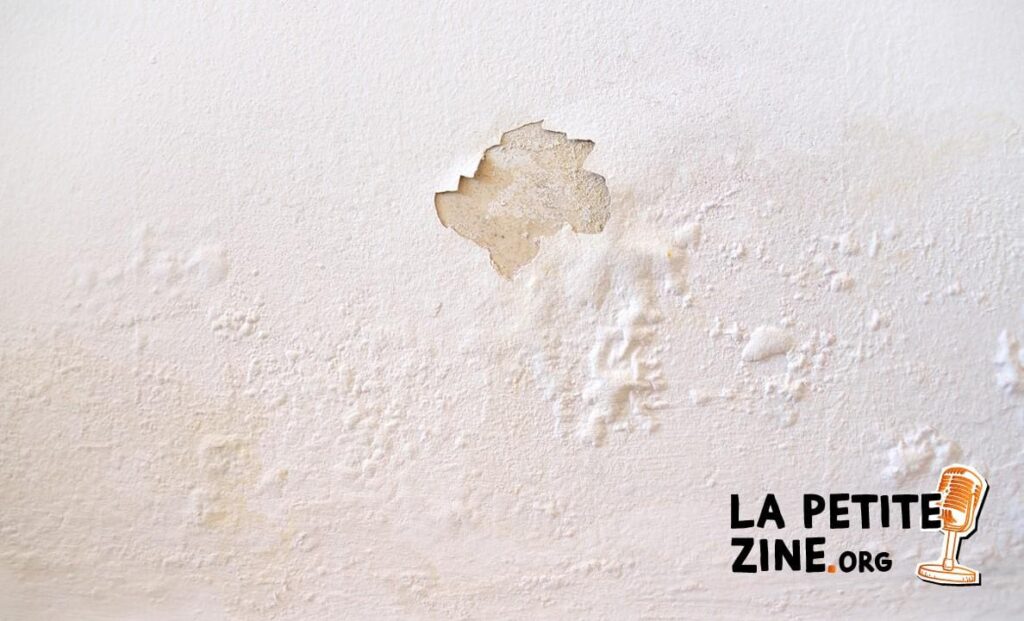 Repeindre un mur quand la peinture est écaillée : nos conseils