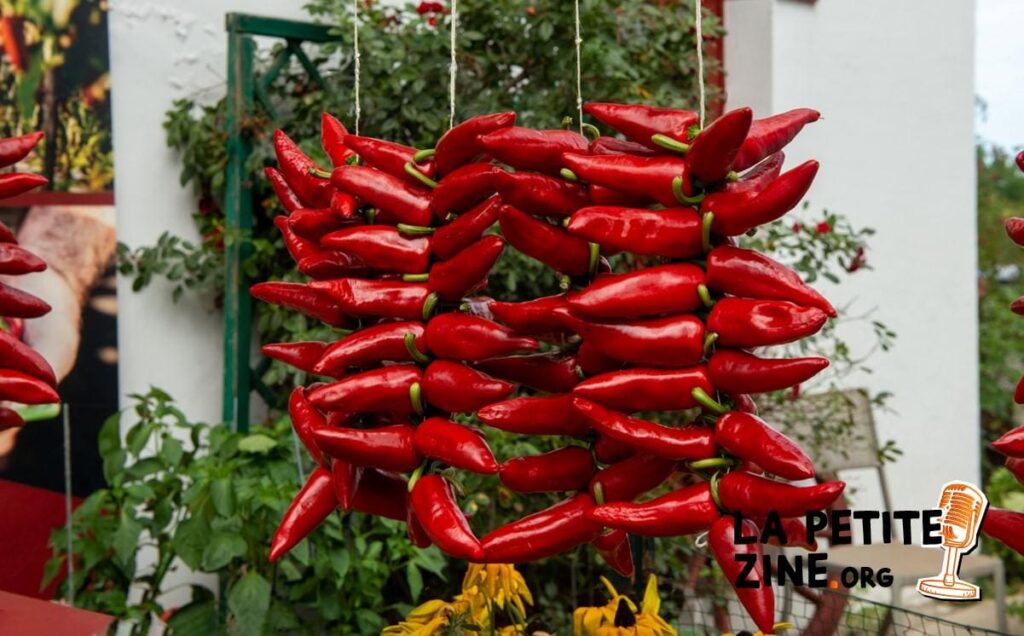 Quand et comment semer le piment d’Espelette ?