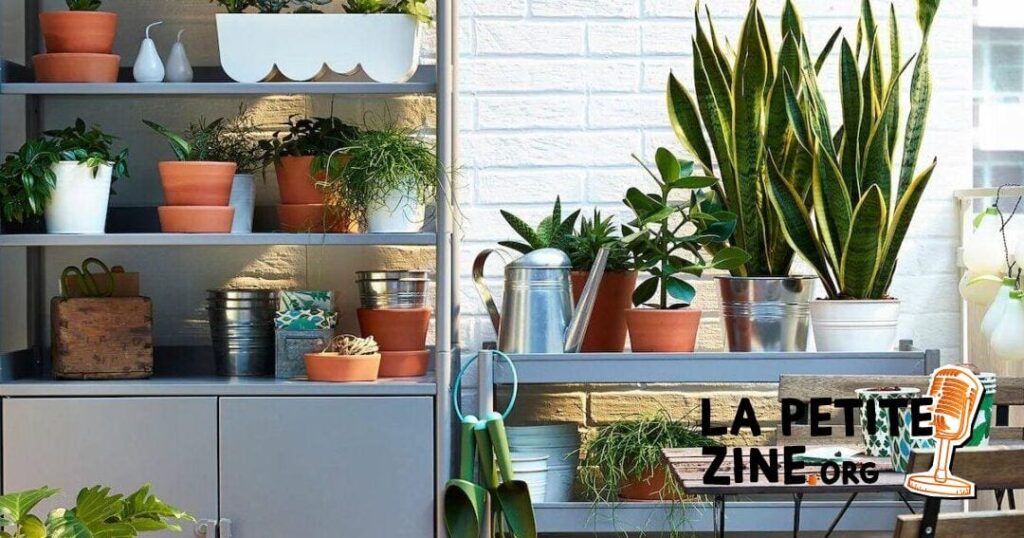 Quels sont les meilleurs bacs de rangement pour la cuisine?