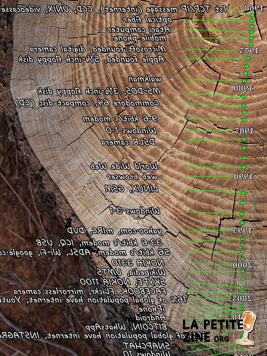 Réussir dans l&rsquo;Ère Numérique : Stratégies Gagnantes pour les RGS (Règles de Gouvernance Simplifiées)