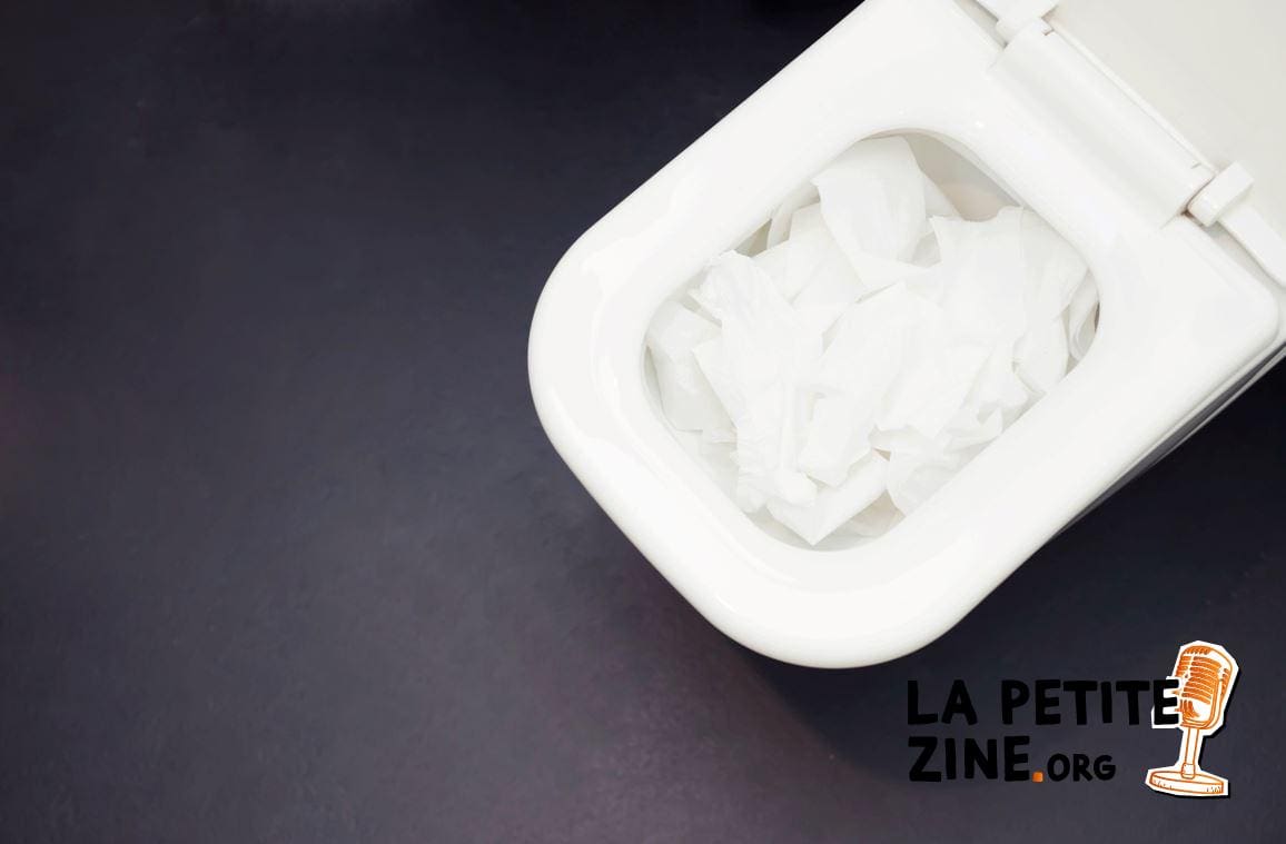 Comment déboucher un sanibroyeur ?