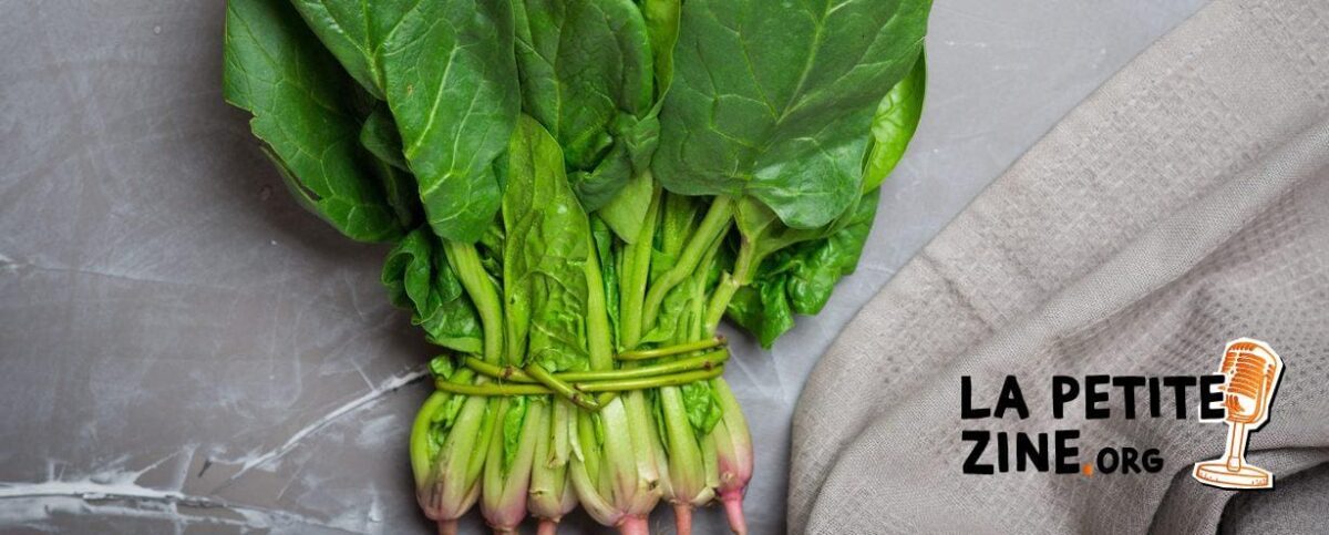 Superfood : une alimentation plus saine !