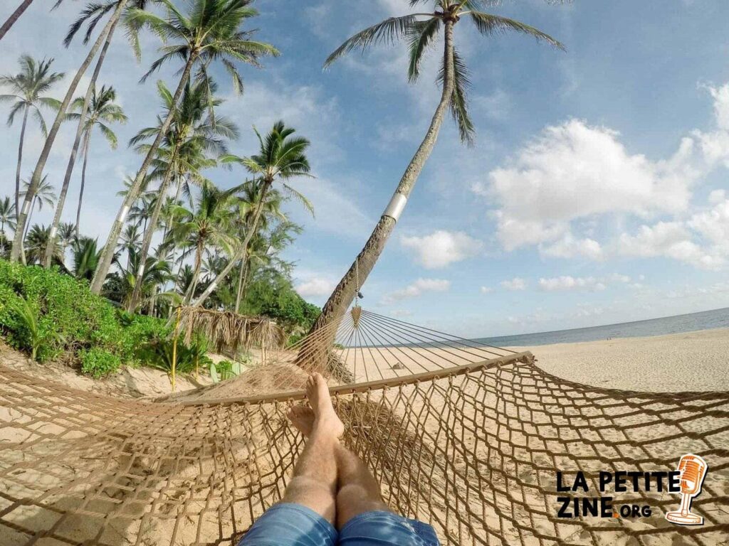 Surmonter les faiblesses de votre entreprise face aux types de vol: Stratégies et Solutions