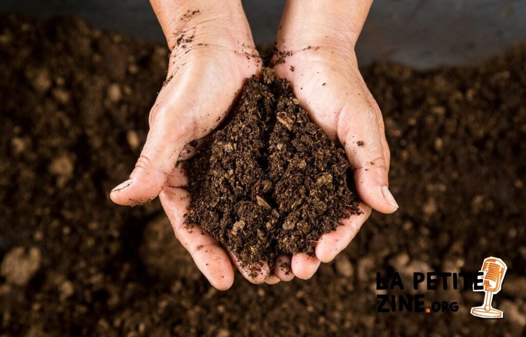 Mélanger le terreau avec de la terre : est-ce une bonne idée ?