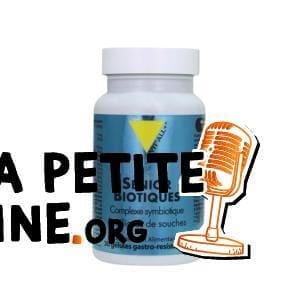 Top 5 des meilleurs compléments alimentaires pour senior 9